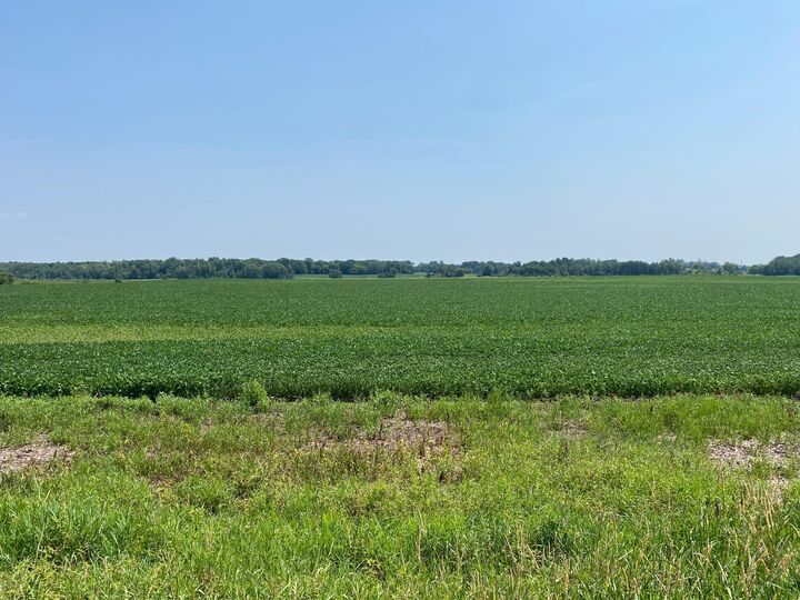 Property Photo:  40525 Highway 65 NE  MN 55006 