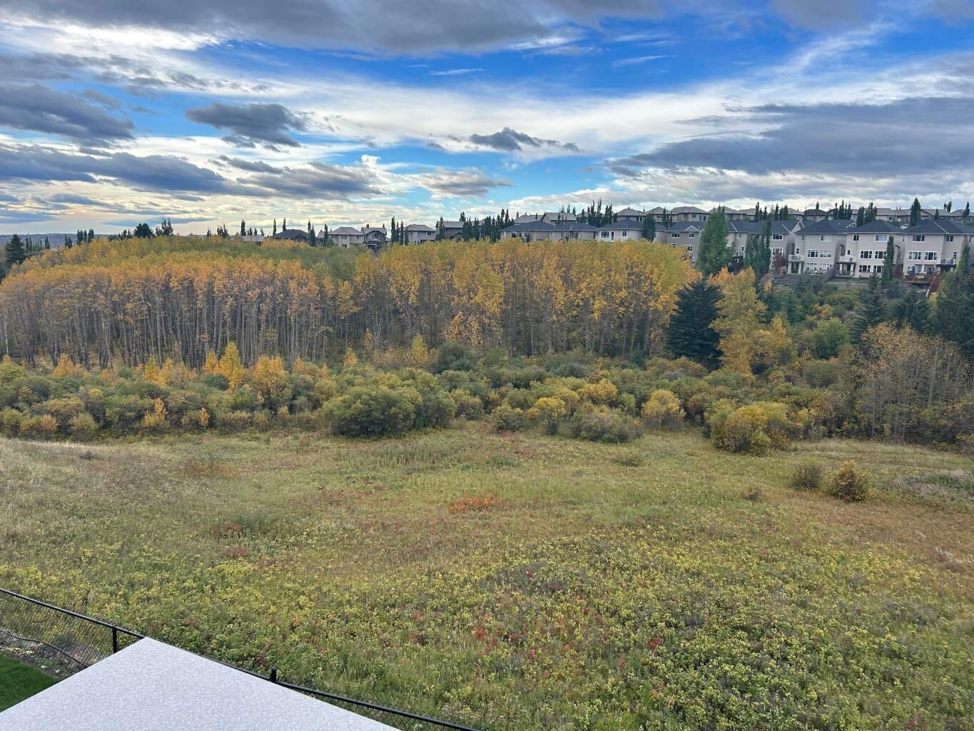 Property Photo: 27 Royal Birch Cove NW AB T3G 5P9