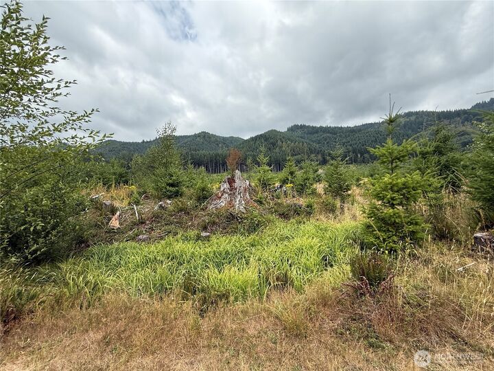 Property Photo: 327 Xx Kolisch Road E WA 98323
