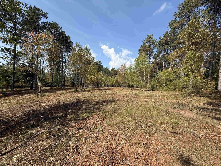 Burnt Pine Road 1  Lakewood WI 54138 photo
