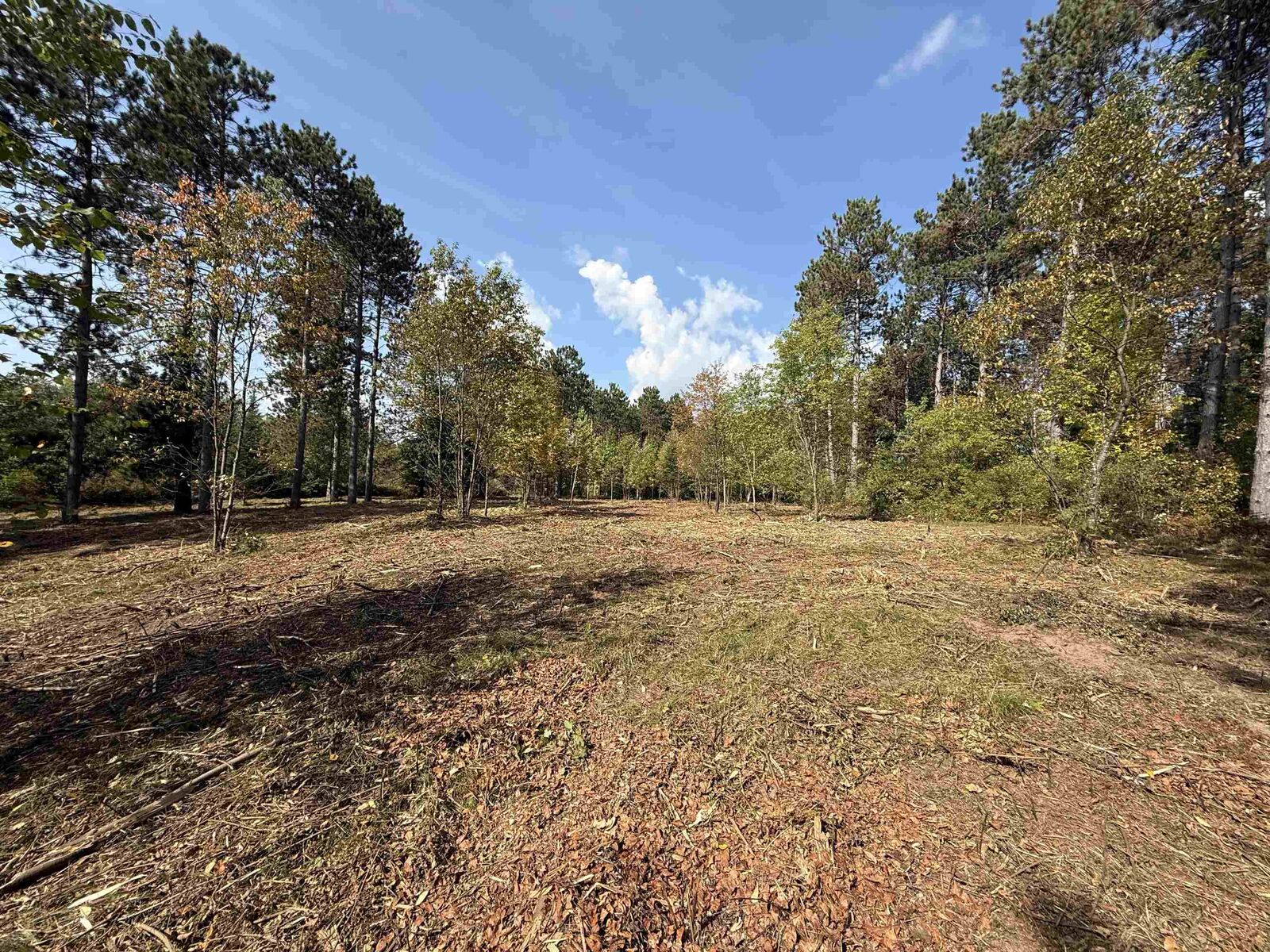 Property Photo: Burnt Pine Road 1 WI 54138