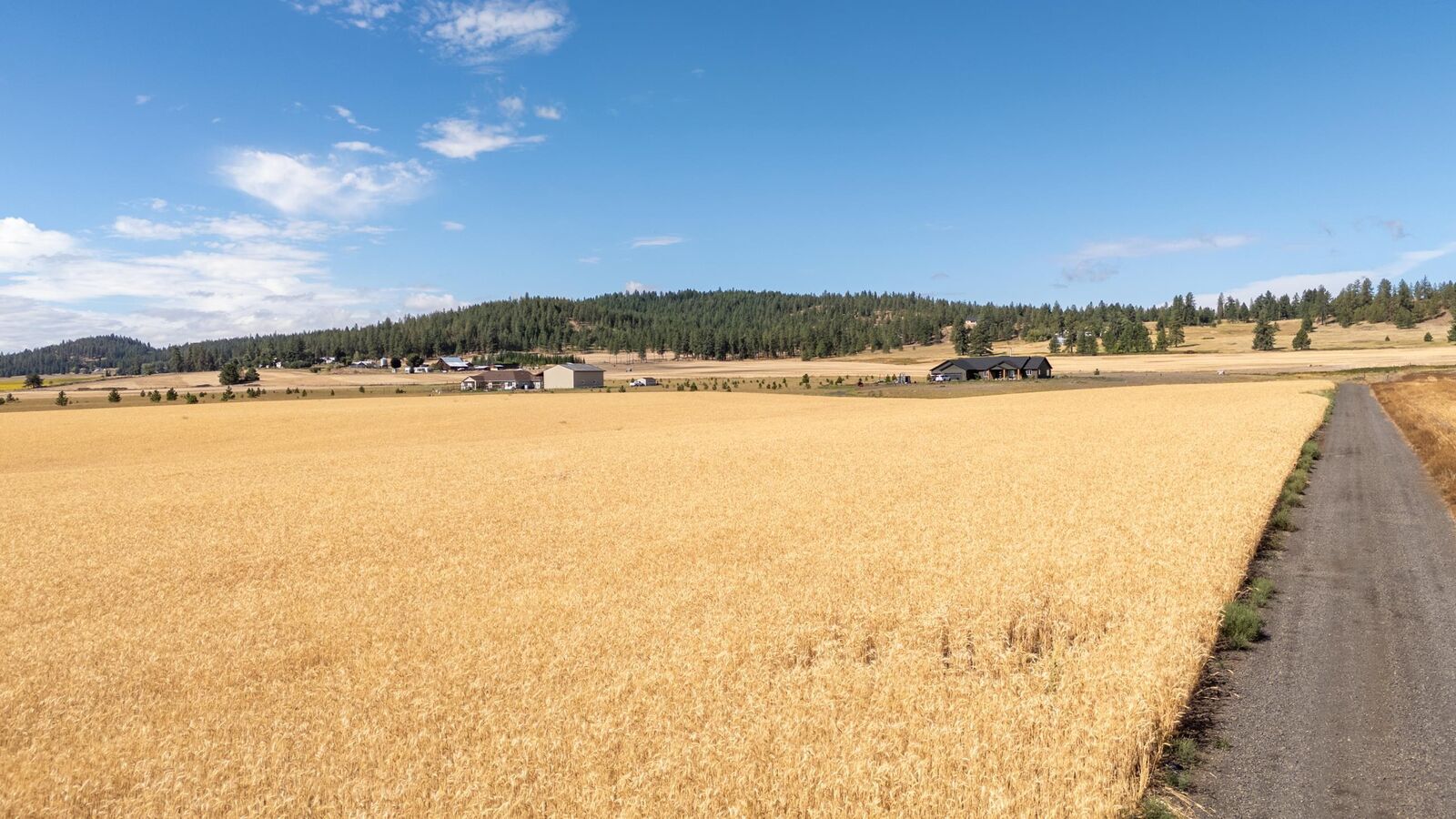 Property Photo:  246xx N Spotted Rd  WA 99006 