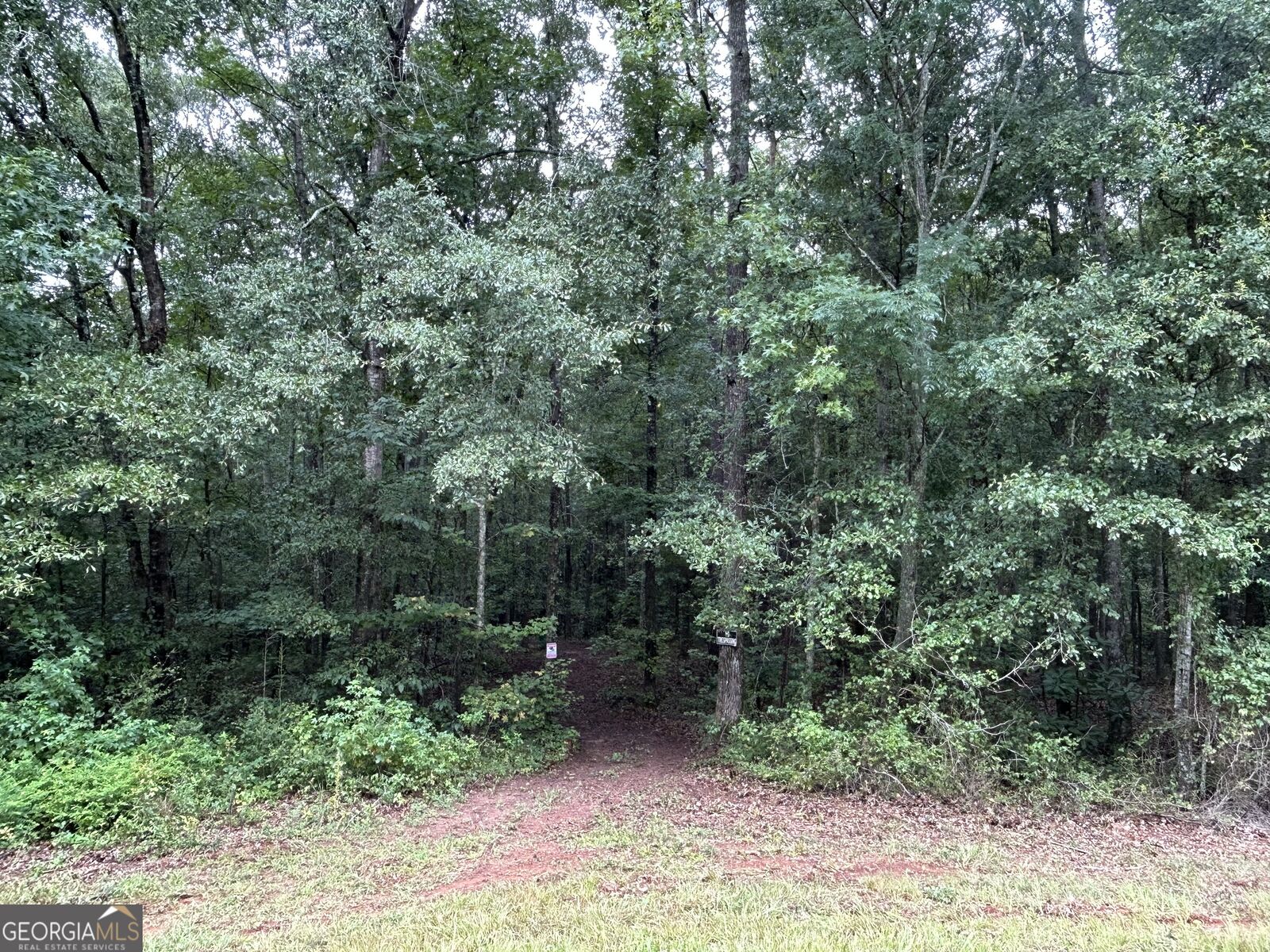 Property Photo: 0 Bush Road GA 30204
