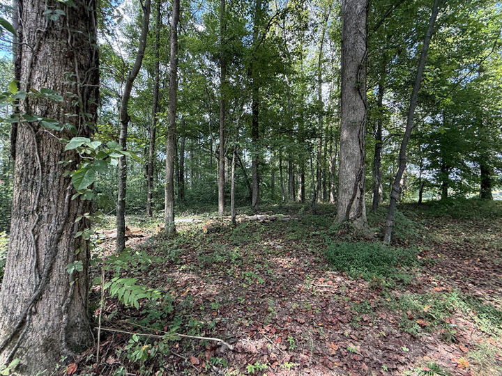 Property Photo:  Lot 172 Stillwater  KY 42642 