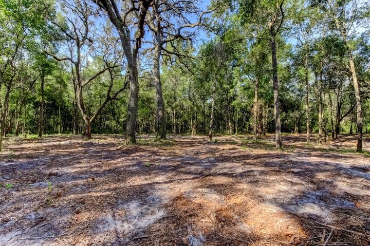 Property Photo:  14004 Peace Boulevard  FL 34610 