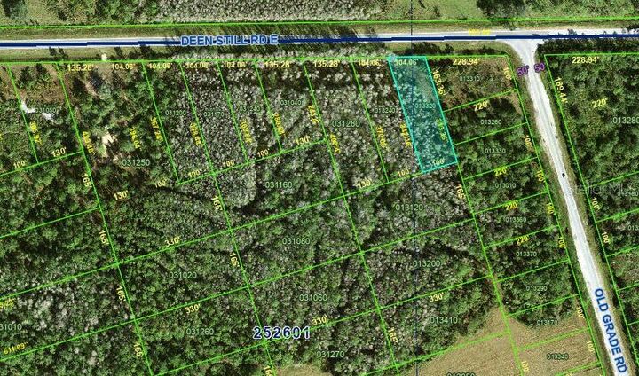 Deen Still Road  Polk City FL 33868 photo