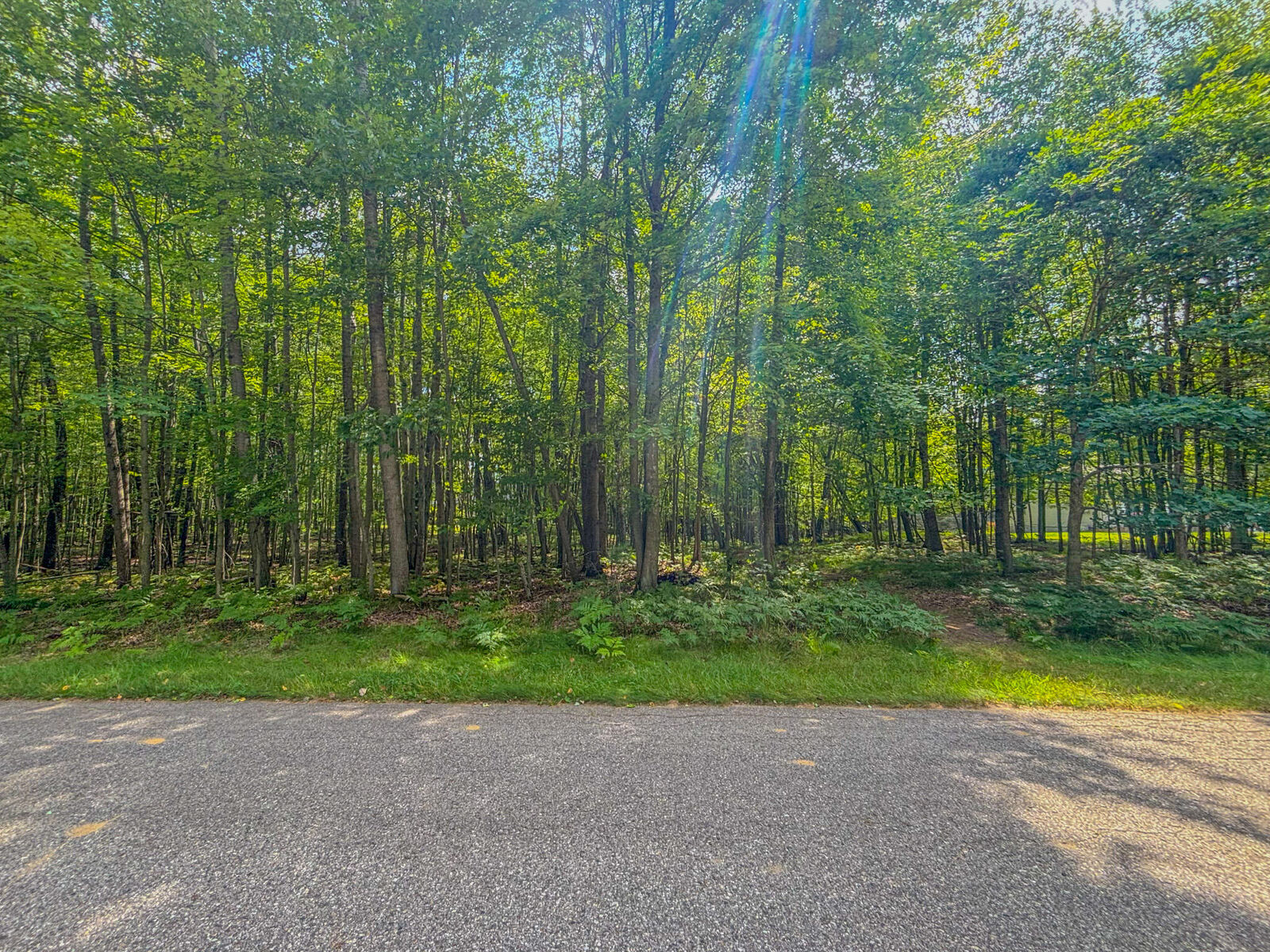 Property Photo: 9385 Clubhouse Drive W MI 49346