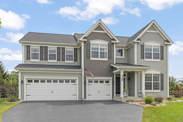 Property Photo: 220 Julep Avenue IL 60543