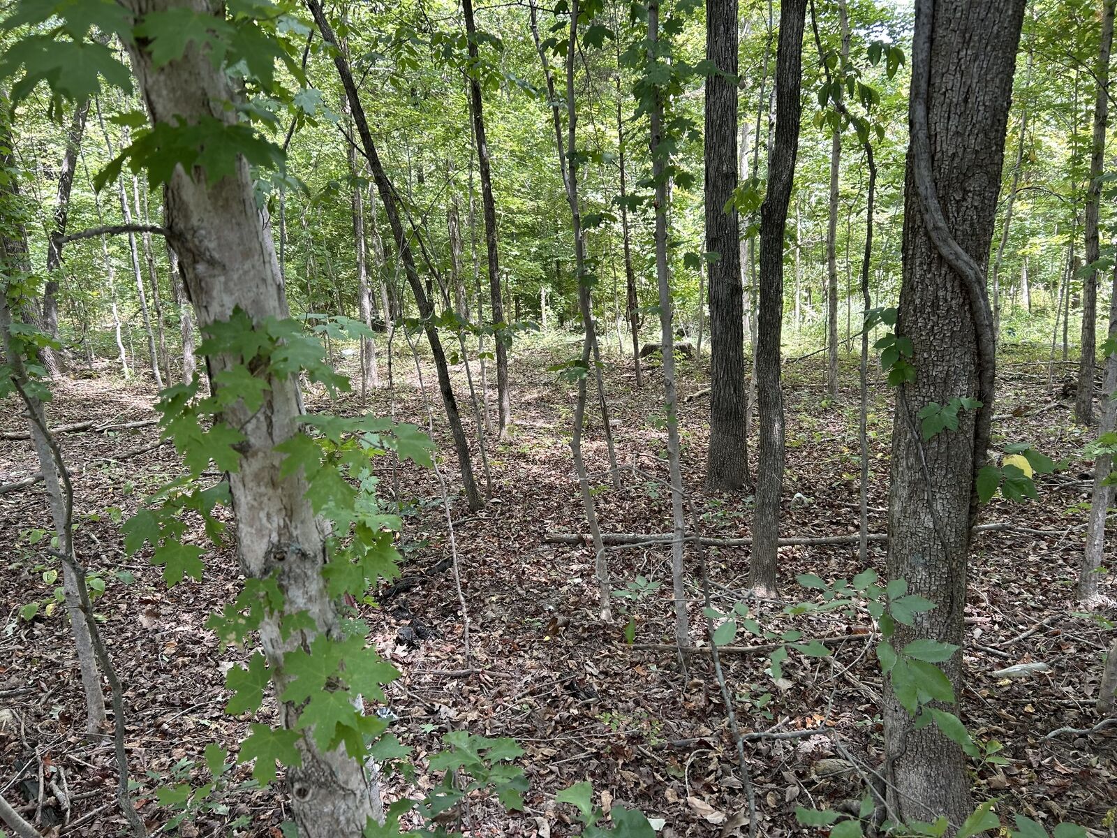 Property Photo: 0 Highway 49 TN 37061