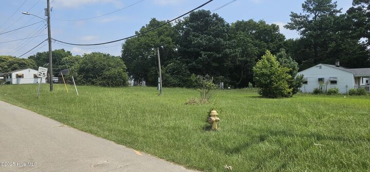 Tbd County Road  Weldon NC 27890 photo