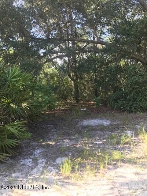 114 Heinz Road  Hawthorne FL 32640 photo