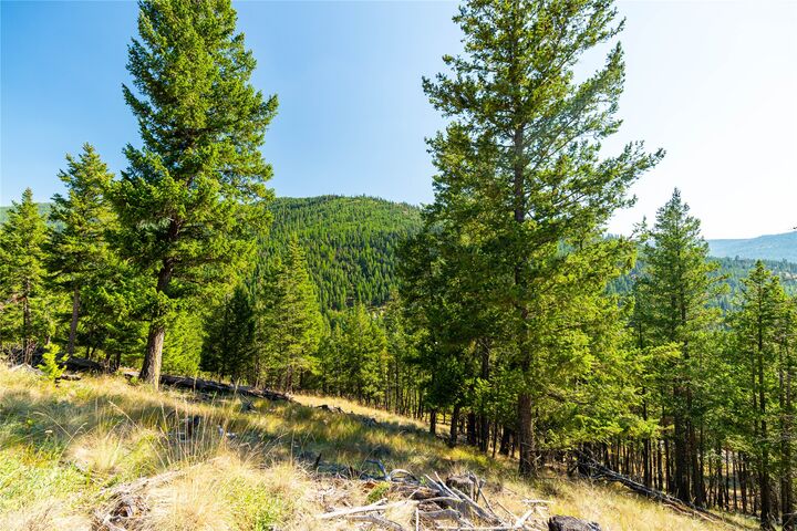 123 Seeley Lane  Kila MT 59920 photo