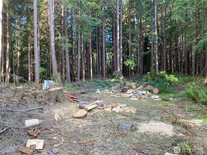 Property Photo:  0  Hwy 101 Forks  WA 98331 