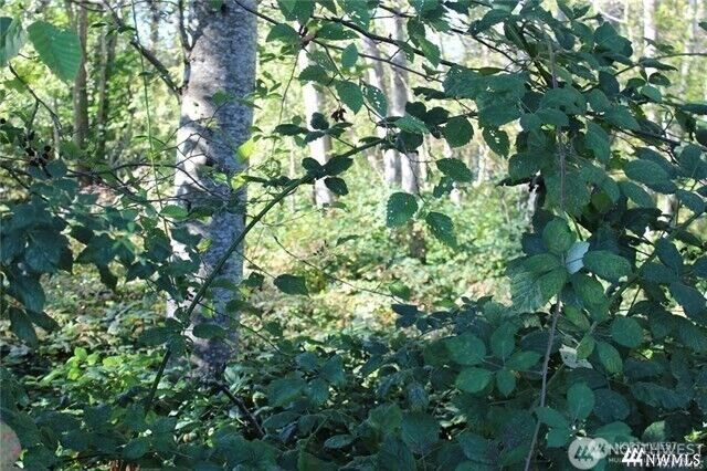 Property Photo:  3085 W Maplewood Avenue  WA 98225 