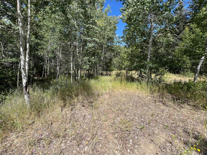 Property Photo: 117 Aspen Grove Lane ID 83340