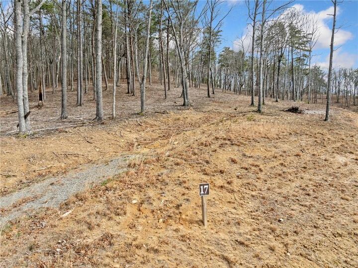Property Photo:  Lot 17 High Summit Drive  GA 30175 