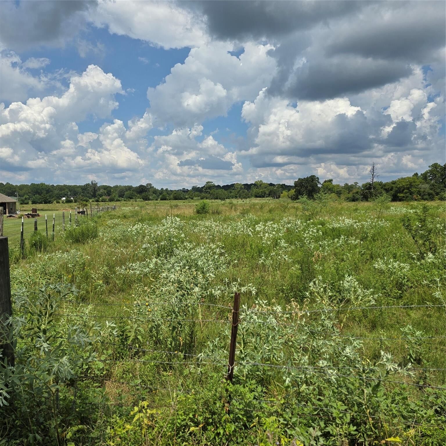Property Photo:  Tbd Tract 2 Padgett Rd  TX 77331 