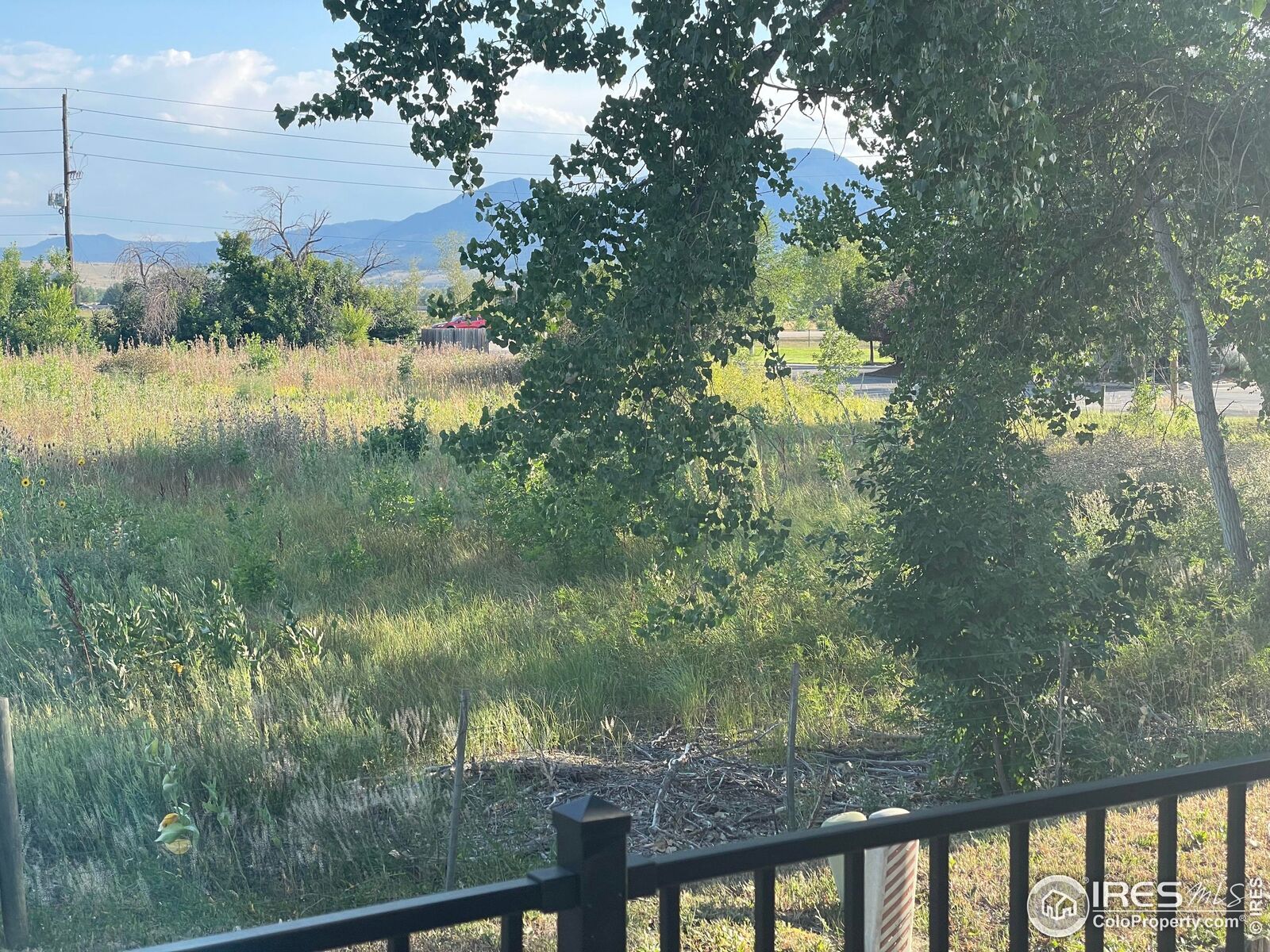 Property Photo:  56 Genesee Ct  CO 80303 