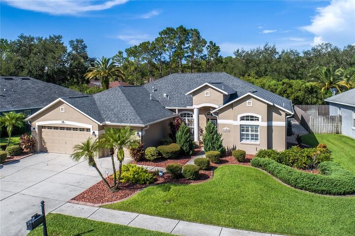 12524 Leatherleaf Drive  Tampa FL 33626 photo