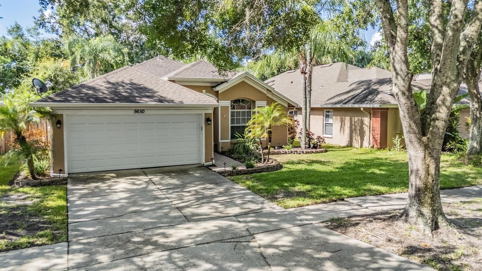 Property Photo: 5650 Paddock Trail Drive FL 33624