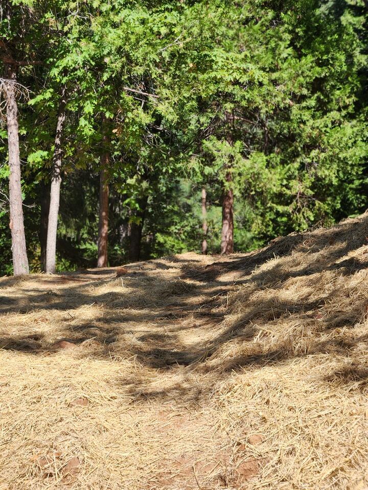 Property Photo: 11068 Merrill Court CA 95959