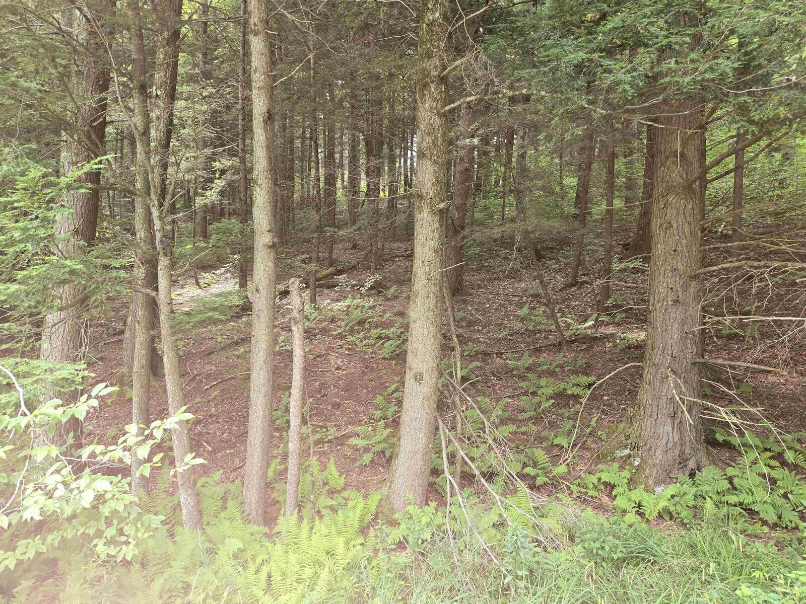 Property Photo:  8 Bentley Lane  VT 05465 