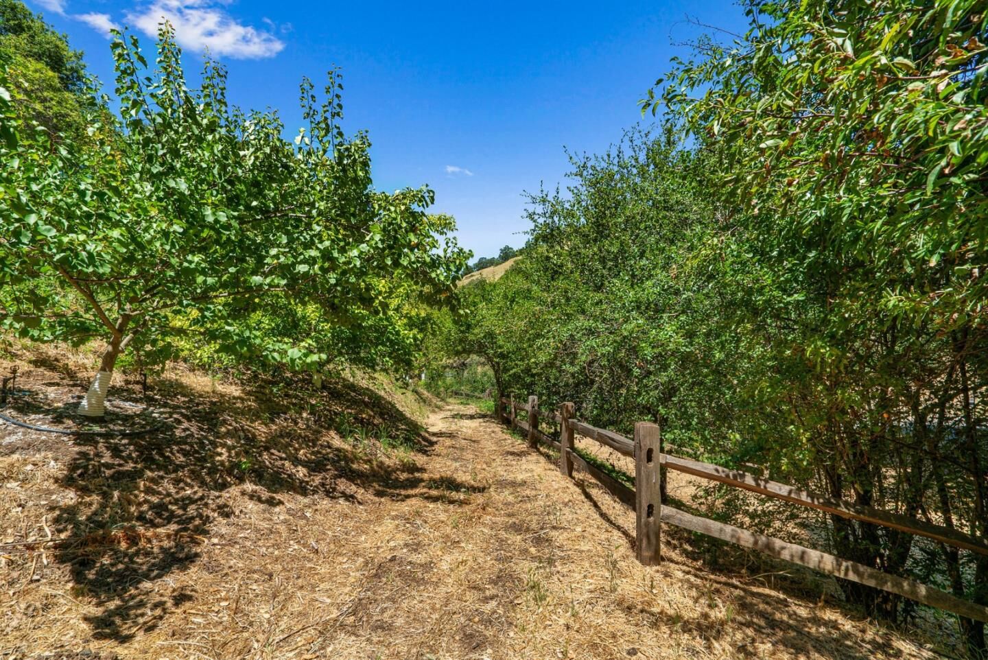 Property Photo:  0 Forrester Road  CA 95032 