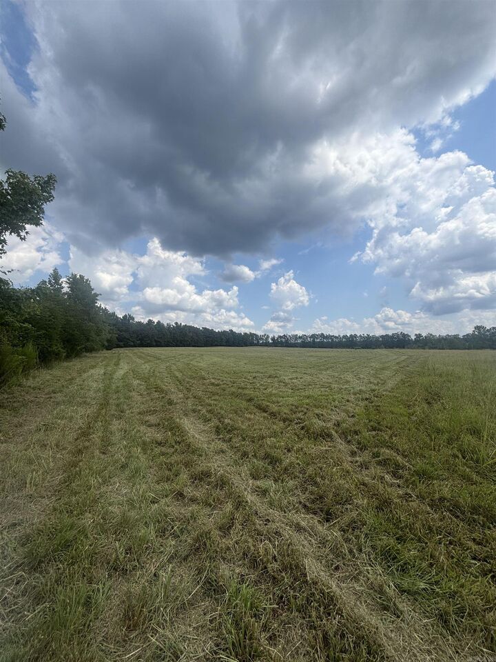 Property Photo: Goodfellow Rd. AR 71667