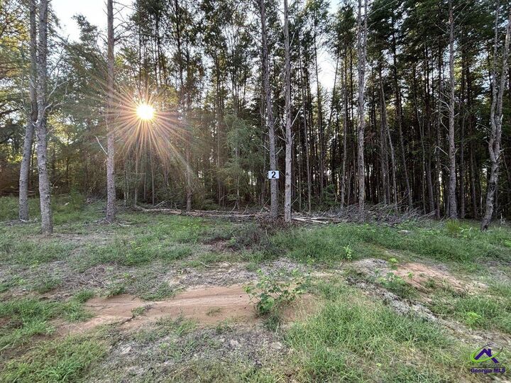 Property Photo:  Lot 2 Trojan Way  GA 31008 