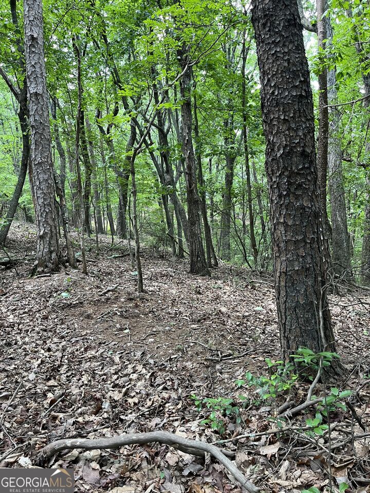 Property Photo: 0 Wauka Mountain Terrace GA 30528