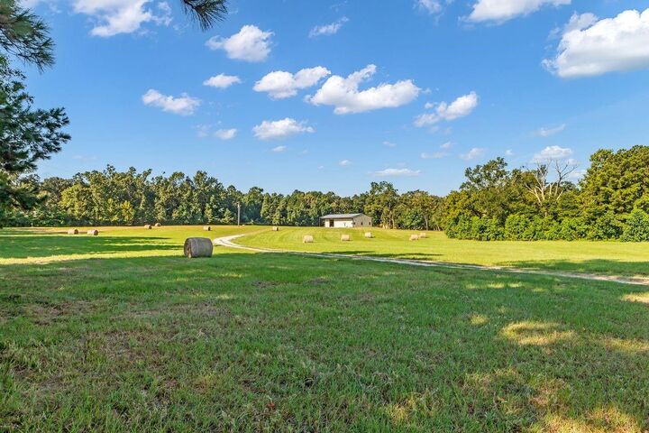 Property Photo:  251 Roy Webb Road  TX 77320 