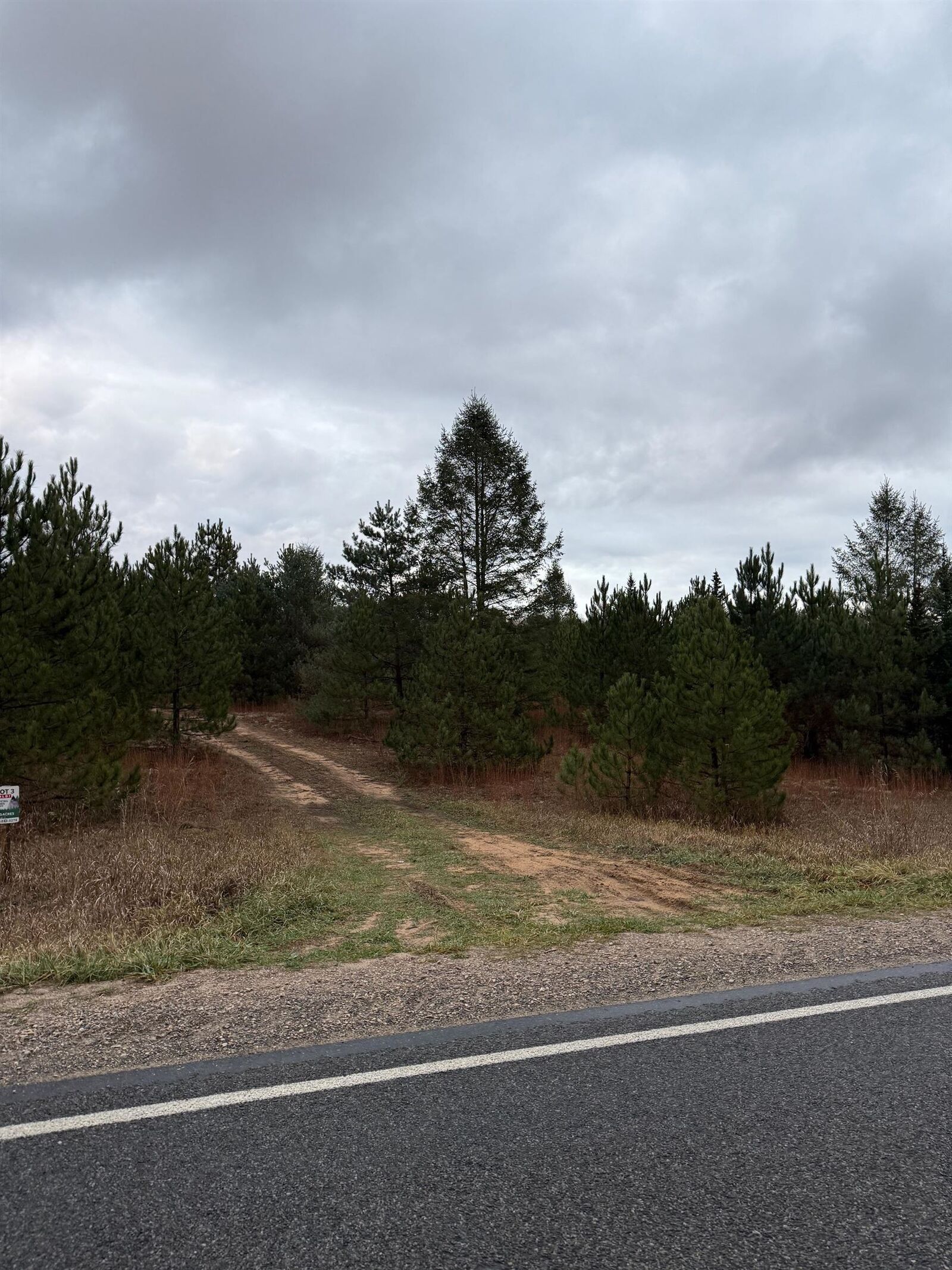 Property Photo:  0000 Summit City Road  MI 49649 