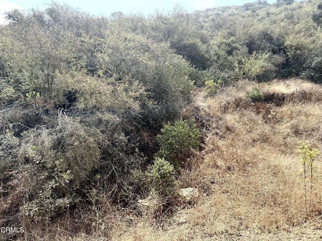 Property Photo: 650 S Ventu Park Road CA 91320