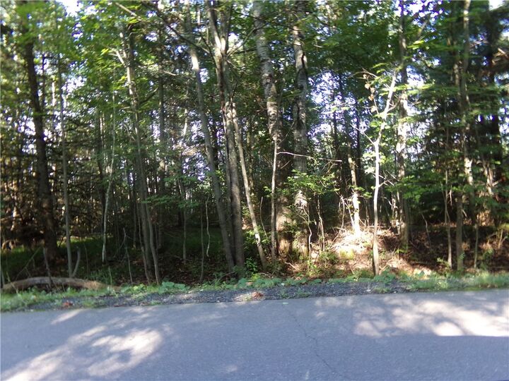 7581 S Marsik Lot 3 Road  Lake Nebagamon WI 54849 photo