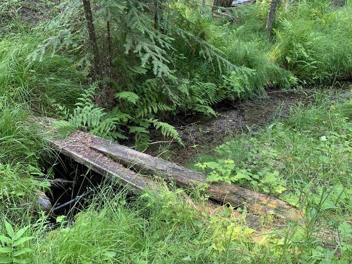 Property Photo:  2423 L Quinns Meadow Rd  WA 99114 