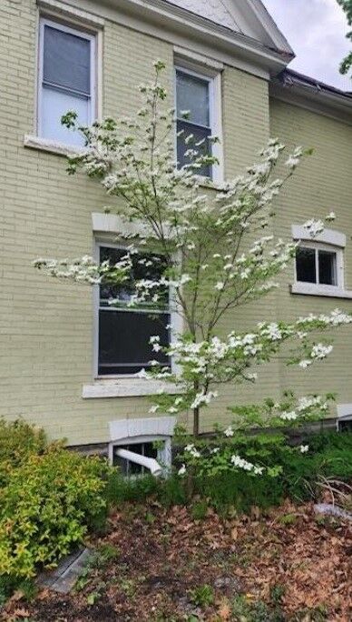 Property Photo: 17 Adsit Place NY 14843