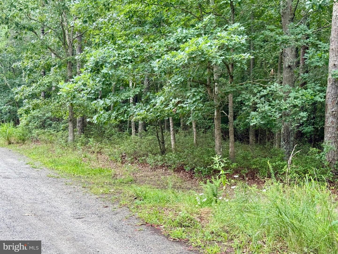 Property Photo:  0 Pinewood  NJ 08087 