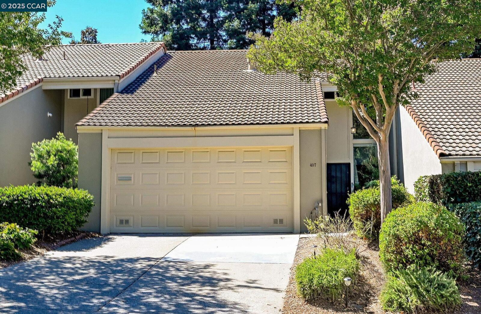 Property Photo:  407 Tampico  CA 94598 