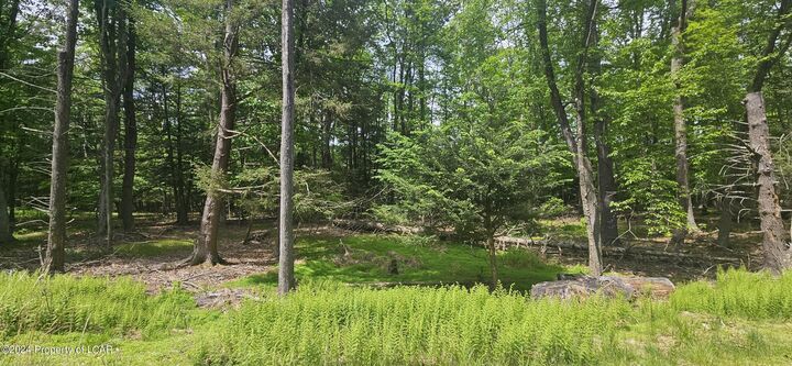 Property Photo: Ea Lot 247 Algonquin Drive PA 18202