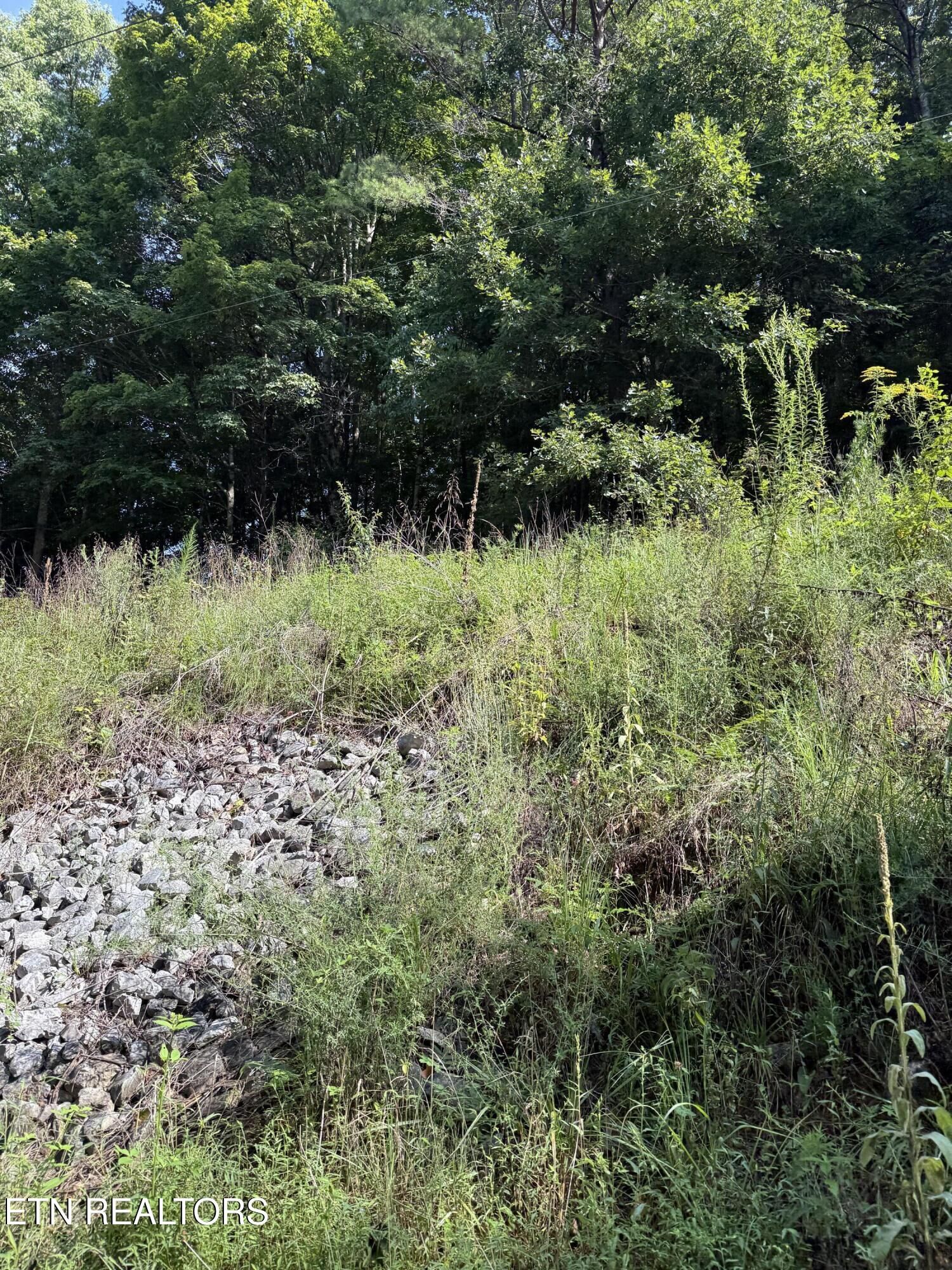 Property Photo: 115 Hughes Hollow Rd TN 37846