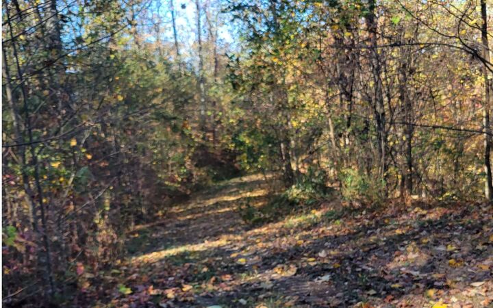 Property Photo:  14 Ac Old Burnt Mountain  GA 30540 