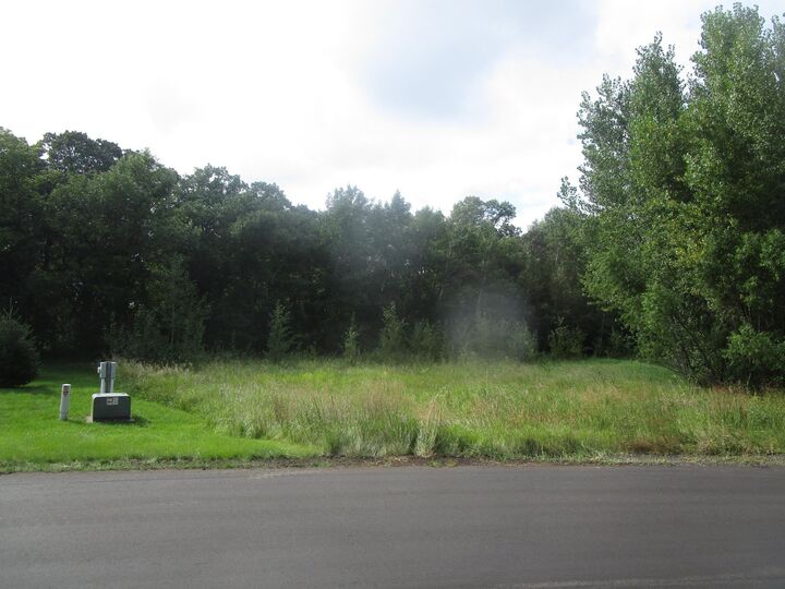 Property Photo: Tbd Burgen Terrace SE MN 56308