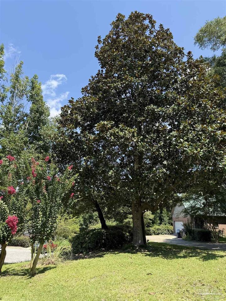 Property Photo: 10030 Autumn Ln FL 32514