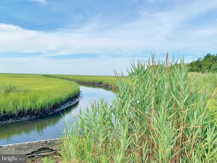 Property Photo: 0 Scotts Landing Road NJ 08205