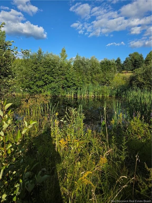 Property Photo: Lot Greenhill Lake Road NB E6E 1E9