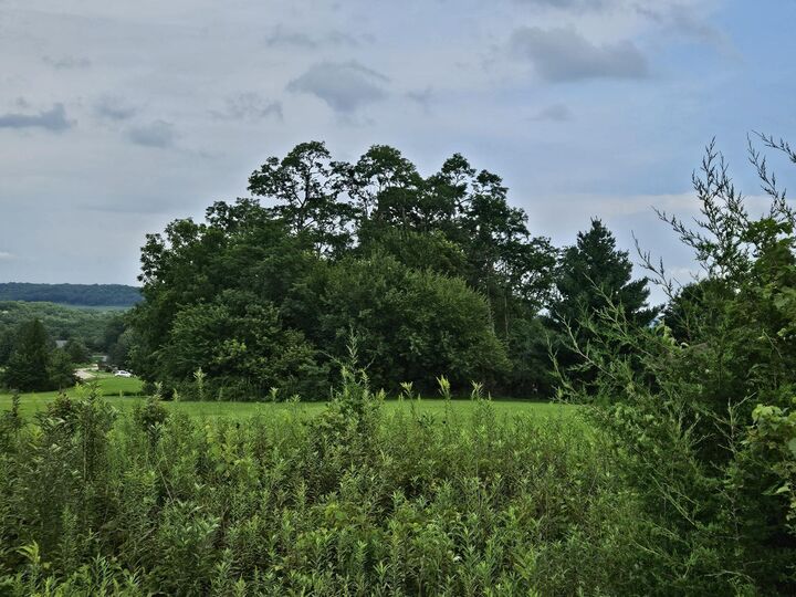 Property Photo: 3 Butternut Lane IL 61036