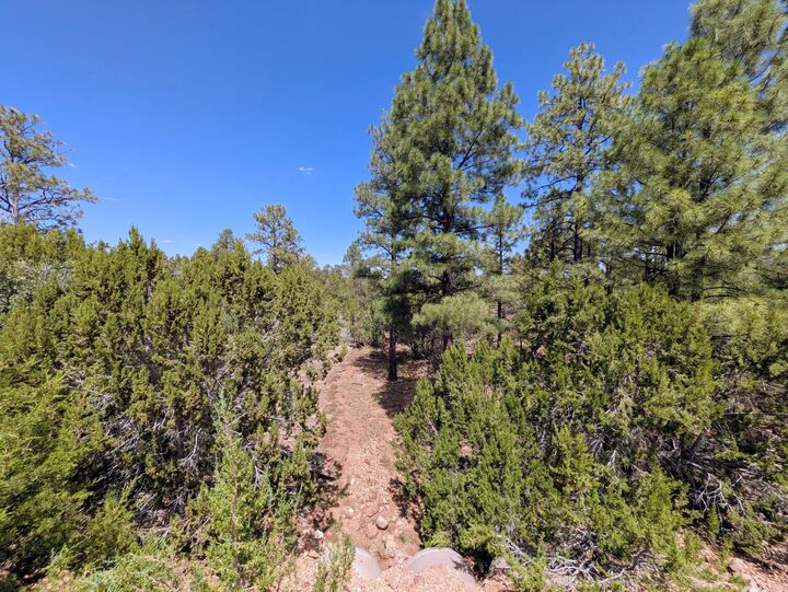 Property Photo: 3719 Meadow Wood Drive AZ 86024