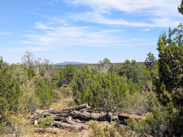 Property Photo:  3719 Meadow Wood Drive  AZ 86024 