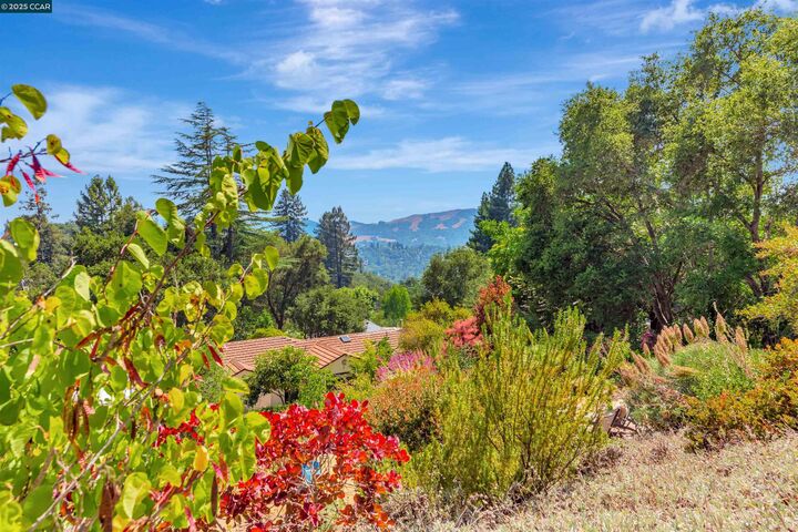 Property Photo: 23 El Verano CA 94563