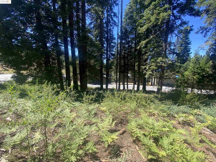 33994 Leland Meadow Rd  Pinecrest CA 95364 photo